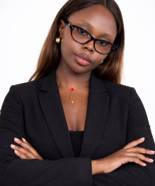 BUSINESS CONSULTING AGENCY | ABUJA NIGERIA BUSINESS CONSULTING AGENCY | ABUJA NIGERIA